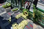 یادی از «احسان ذاکری» شهید حافظ قرآن و فعال رسانه‌ای + فیلم