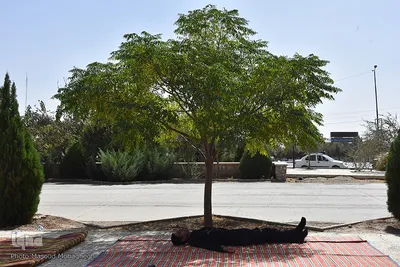 مراسم پیاده روی اربعین - سمنان