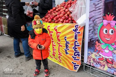 آیین افتتاح دهمین جشنواره «انار صد دانه یاقوت»