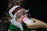 مراسم شیرخوارگان حسینی در اصفهان