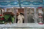 همایش تکریم امامزادگان استان مرکزی - شازند/عکاس:زهرا بهرامی