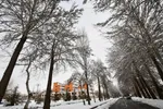 دانشگاه ارومیه در یک روز برفی‎