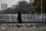 چهارراه کبوترها‎‎