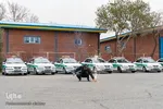 نمایشگاه کشفیات مواد محترقه استان البرز‎‎