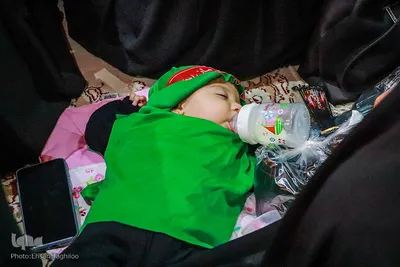 حسینیه ایران؛ سوگواره شیرخوارگان حسینی در زنجان