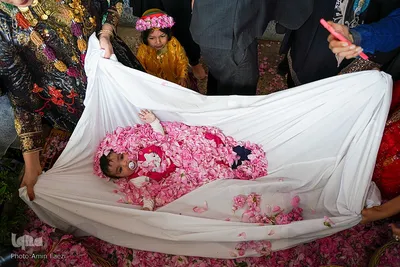 جشنواره گل محمدی در میمند فارس‎‎