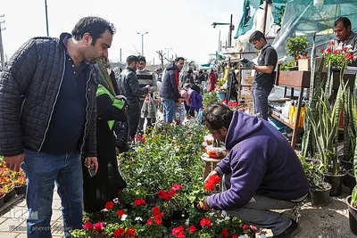بازار گل محلاتی تهران
