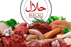 Pakistan: Konferenz in Lahore diskutiert über Steigerung des Exports halaler Lebensmittel