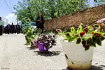 یادواره شهدای والامقام طجرسامن‎