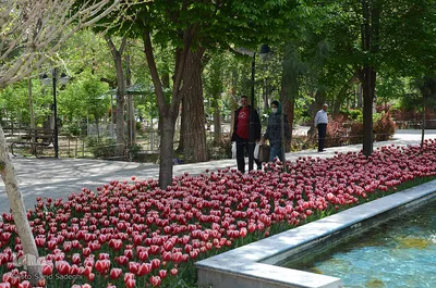 گلستان تبریز