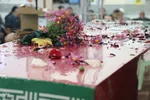 یادواره شهدای مفقودالاثر ملایر‎