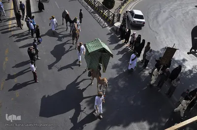 ورود نمادین کاروان حسینی به سرزمین کربلا