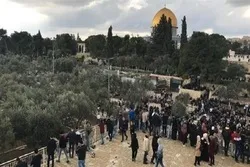 An Karyata bayanan da Ke Cewa Yahudawa Sun sake  Rufe Babu Rahma