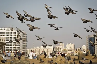 مزار امام جعفر صادق(ع) در قبرستان بقیع مدینه