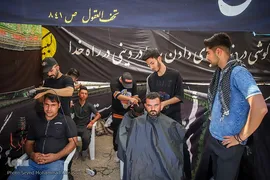 زائران پیاده حرم مطهر امام رضا (ع)
