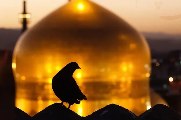 این نامه را بخوانید تا سلام گرم امام رضا(ع) به شما برسد