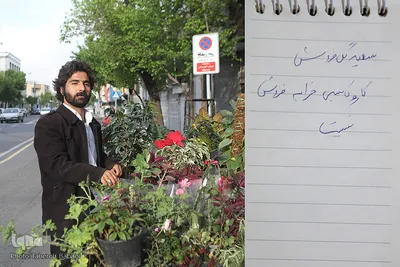 دغدغه نان کرکره‌ها را بالا برد