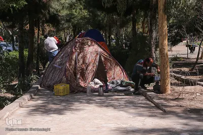 جمکران در روزهای سال جدید