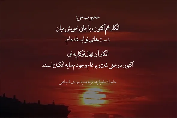 استوری‌موشن | سایه درختِ توکل