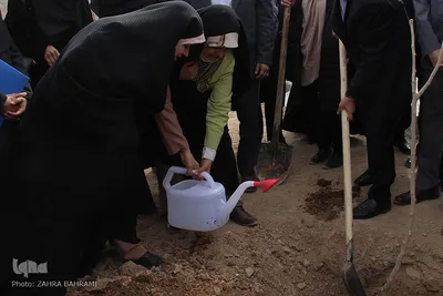 نهال کاری در پارک بانوان اراک/عکاس: زهرا بهرامی
