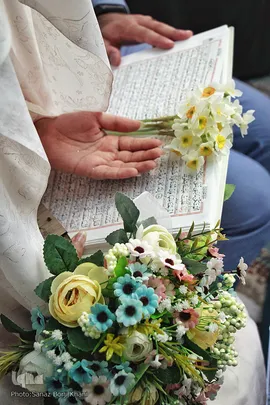 پیوند آسمانی