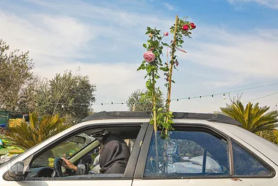 بازار گل محلاتی تهران