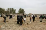 پویش سراسری درختکاری - مشهد
