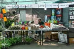 نمایشگاه گل و گیاه - محلات/عکس:محمد رجبی