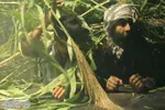 نما یش «من لیلا هستم» در محمود آباد به روی صحنه می رود