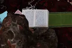 اعتکاف در مساجد تبریز