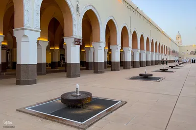 مسجد شجره