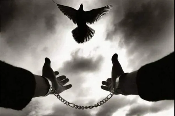 بخشش قاتل به حرمت حضرت زهرا(س) در کردستان