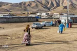 واکسیناسیون عشایر آذربایجان شرقی