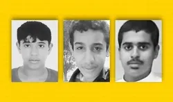 বাহরাইনের তিন কিশোরের বিচার/ ইসরাইলে বাহরাইনের রাষ্ট্রদূত নিয়োগ