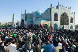 Penyelenggaraan Acara Berkabung Asyura Huseini di Mazar-e-Sharif dan Ghazni