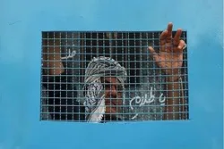 Etablierung „Roter-Dienstag“-Kampagne in Gefängnissen des zionistischen Regimes