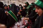 سیب بهشتی‎‎