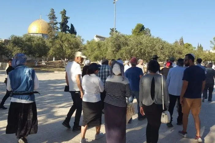 Gerusalemme, la settimana scorsa 471 coloni hanno invaso al-Aqsa