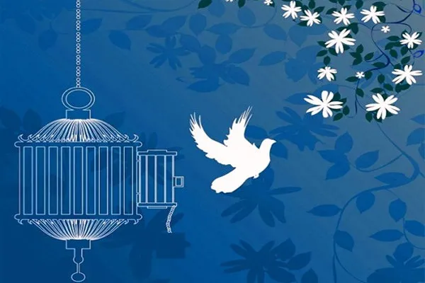 چشم امید ۸۶ زندانی جرائم غیرعمد هرمزگان به کمک نیکوکاران