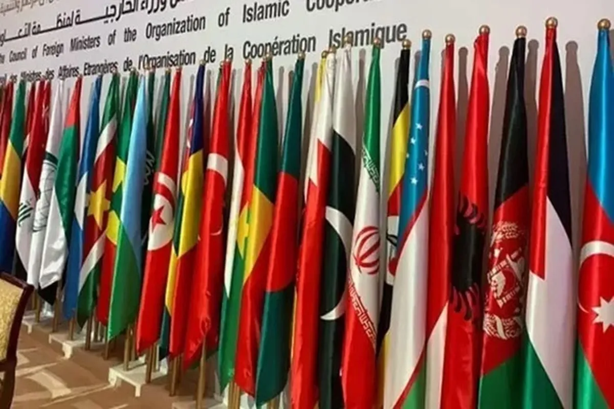 او آئی سی کا عالمی فریقوں سے غزہ میں اسرائیلی جارحیت بند کرانے کا مطالبہ