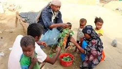 Wayemen walazimika kula majani ya msituni kutokana na njaa