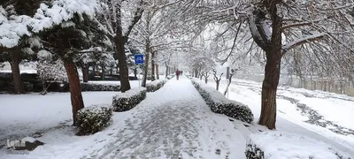 بارش نخستین برف زمستانی در ارومیه‎‎