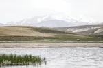 تالاب قوری گول‎‎