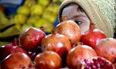 رسمی که بلندای یلدا را به کام منتظران شیرین می کند