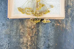 Le livre qui guérit les cœurs