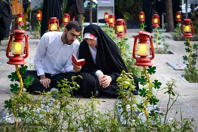 گلزار شهدای تهران، در روز شهادت امام رئوف