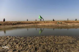 پیاده روی دلدادگان سید و سالار شهیدان، حضرت اباعبدالله الحسین (ع) در اربعین حسینی