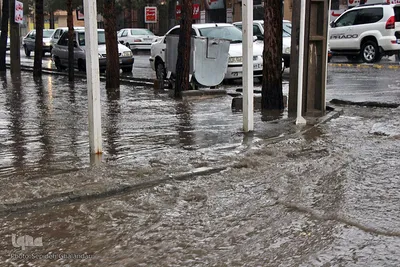 بارش باران و آبگرفتگی معابر - بیرجند