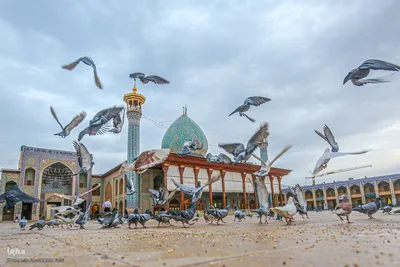به مناسبت بزرگداشت میلاد حضرت احمدبن موسی شاهچراغ (ع)‎