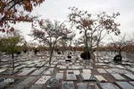 پاییز در قبرستان قدیمی زنجان